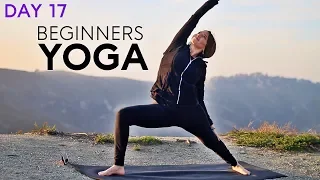 Beginners Yoga Flow (15 min Total Body) Day 17 | Fightmaster Yoga Videos