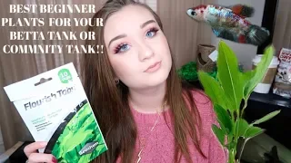 BEST BEGINNER PLANTS FOR YOUR BETTA TANK OR COMMUNITY TANK!! | ItsAnnaLouise