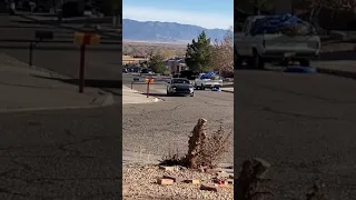 LOUD 2020 mustang gt launch