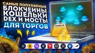 Где хранить криптовалюту - работа с блокчейнами и кошельками - мосты и список DEX | Cryptus