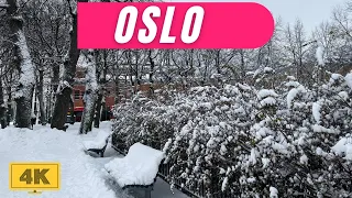 Oslo  🇳🇴 First SnowFall Walking Tour 2022 || 4K/60fps HDR - DownTown ( ▶️ -40 min)