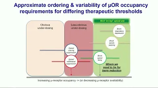 Buprenorphine in the Era of Fentanyl: Truths, Trends and Treatments