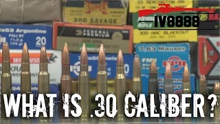 Firearms Facts: .30 Caliber Explained