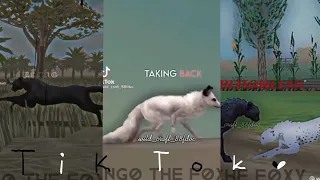 Wildcraft - TikTok compilation