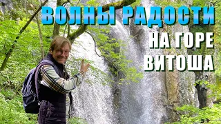Боянский водопад на горе Витоша, София, Болгария