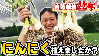 【自然栽培259】EM菌の使用はOK？セイタカアワダチソウの根はどうする？など、ご質問に回答いたします。