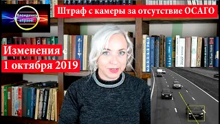 Штраф с камеры за отсутствие ОСАГО | Изменения с 1 октября 2019| 116 Блондинка вправе