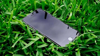 Нашел iPhone, что делать? Считается ли это кражей и как связаться с владельцем?