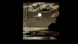 Echo and The Bunnymen - The Killing Moon (LIBS Edit)