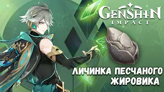 Genshin Impact - Личинка песчаного жировика | Где найти все личинки жировика | Маршрут фарма личинок