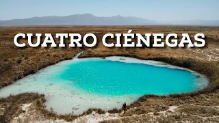 The oasis of the Mexican desert - Cuatro Ciénegas