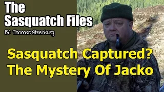 Sasquatch Captured?  The Mystery Of Jacko