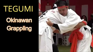 Tegumi: Okinawan Grappling | The Shotokan Chronicles