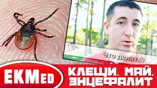 Что делать если укусил клещ?