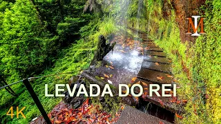 PR18 Levada do Rei - One of the Most Beautiful Levadas in Madeira Island