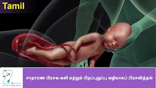 NORMAL LABOR & VAGINAL BIRTH | Tamil