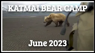 Katmai Bear Camp - June 2023