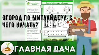 Огород по Митлайдеру: с чего начать?