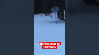 Bigfoot Terrifies Family and Tries to Kidnap Dog on Christmas! | Squatch Watchers