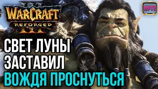 Свет луны заставил Вождя Орды проснуться: Warcraft 3 Reforged