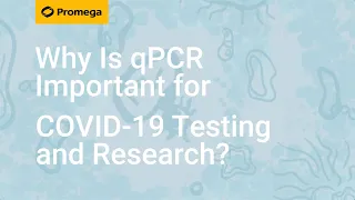 Why Is qPCR Important for COVID-19 Testing and Research?