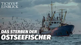 Bedrohte Ostseefischerei: Zwischen Inflation und Bürokratie | Tichys Einblick Reportage