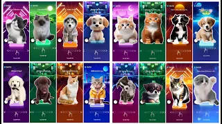 CUTE CATS VS DOGS 1HOUR ULTRAMIX | LADY GAGA BLOODY MARY | MAROON 5 SUGAR | IMAGINE DRAGONS BELIEVER