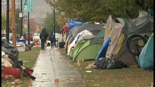 Judge rules the city of Hamilton can continue to remove homeless encampments from parks