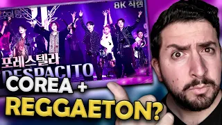 Forestella – DESPACITO / Immortal Songs 2 🔥 Composer dances Reggaeton 😱 Reaction Analysis ✅