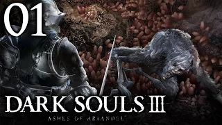 Dark Souls III: Ashes Of Ariandel [DLC] ᴴᴰ #01 - Gemalte Welt Ariandel