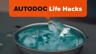 How to Quickly Defrost Car Windows | AUTODOC