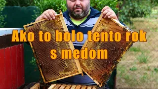 196. Ako to bolo tento rok s medom