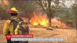 На півночі Каліфорнії не вщухають лісові пожежі