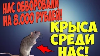 НАС ОБВОРОВАЛИ НА 8.000 РУБЛЕЙ! КРЫСА СРЕДИ НАС!