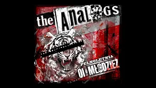 The Analogs - Pełnoletnia Oi! Młodzież (Poland, 2013)