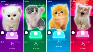 CUTE CATS BTS FAKE LOVE VS THUNDER VS DANCE MONKEY VS JUSTIN BIEBER & TILES HOP EDM RUSH