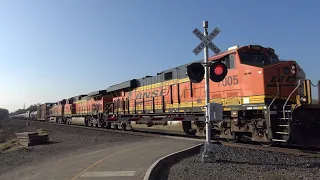 BNSF 7005 Manifest North, Sacramento Northern Bike Trail Ped. Railroad Crossing, Sacramento CA