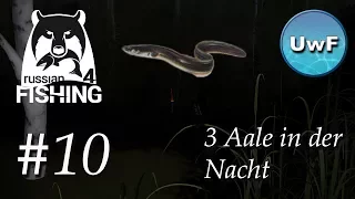 Russian Fishing 4 #10 | 3 Aale in einer Nacht gibs denn sowas | German / Deutsch