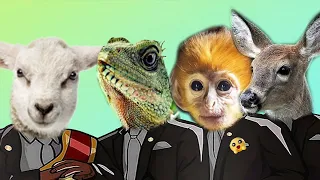 Monkey & Sheep Deer & Lizard - Coffin Dance Meme ( COVER )