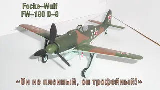 Епифан_36ап53сд  - Он не пленный он трофейный. FW 190.D-9