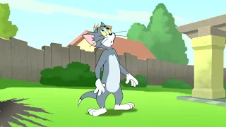 Tom e jerry [Velozes mega zueirosos]