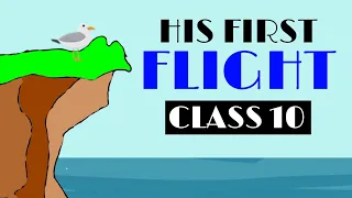 His first flight class 10- Summary in Hindi Full chapter explaination| Two stories about flying