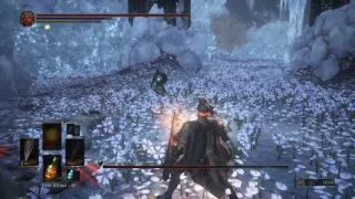 DARK SOULS III - Boss Champion & Wolf ~ Ariandel