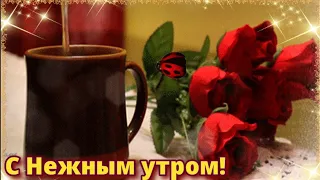 🌼Нежным Утречком тебя!🌼 Красивое пожелание с Добрым утром!🌼