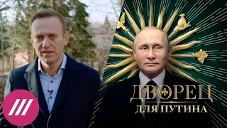 ФБК опубликовал расследование Навального о «дворце Путина» за 100 млрд рублей // Дождь