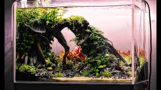 Запуск аквариума 30 литров с растениями / aquascape tutorial
