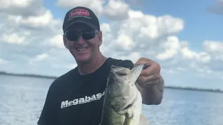 3 Best Ways To Catch May Bass