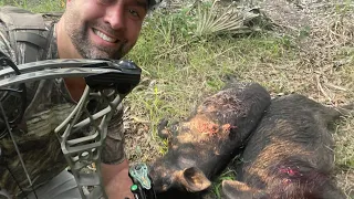 Bow Hunting Florida Hogs!  *Ranch Fairy Arrow/Magnus Broadhead/Mathews VXR*