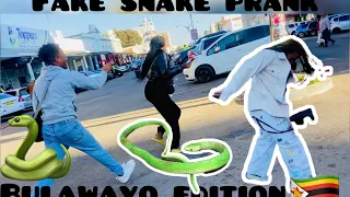 Fake (rubber)snake prank