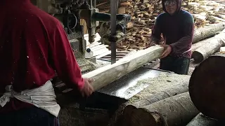 Excellent...👍👍👍 Sengon wood sawing process 😱😱😱